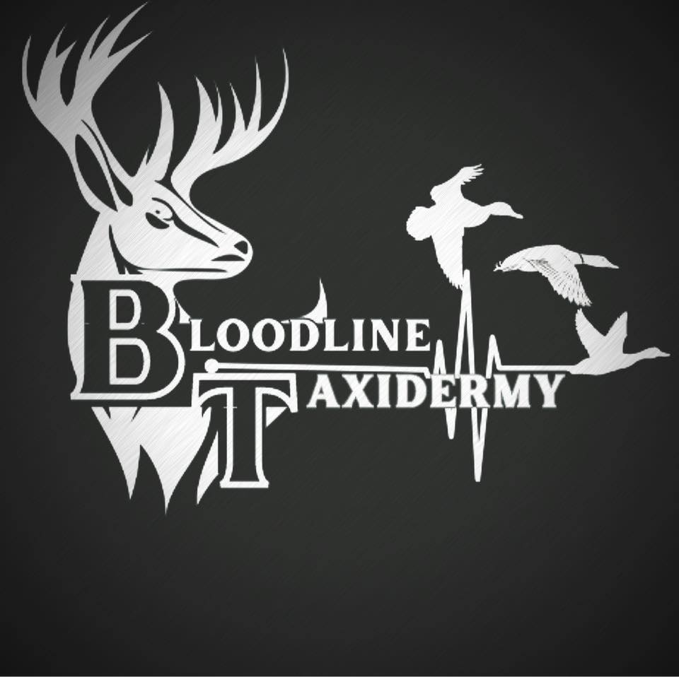 bloodline
